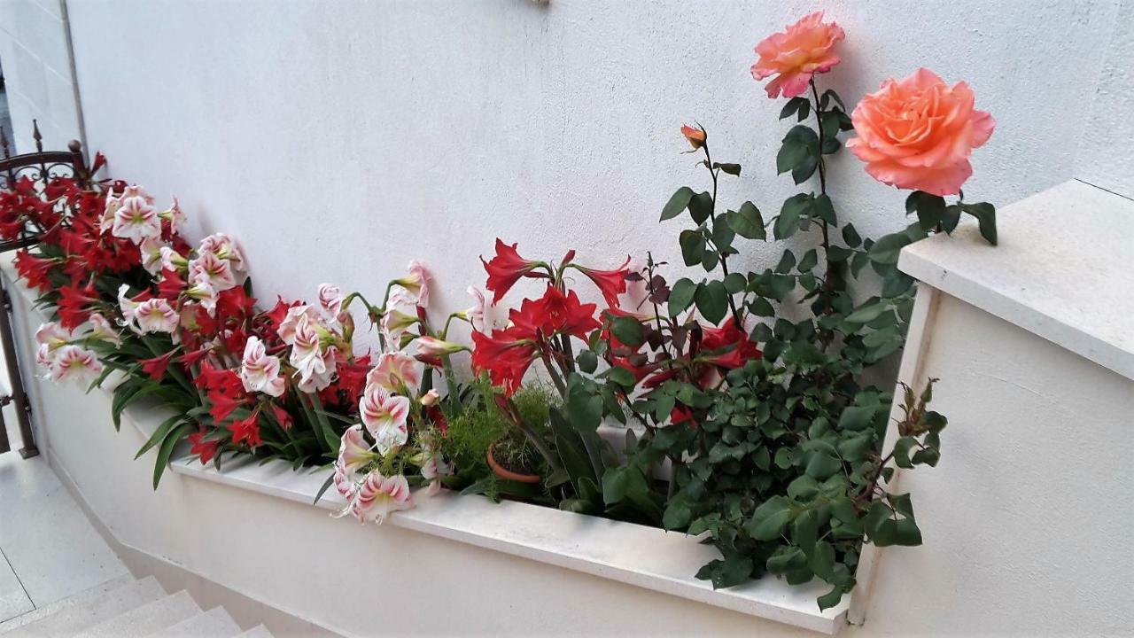 Guest House Fenix Brela Exterior foto